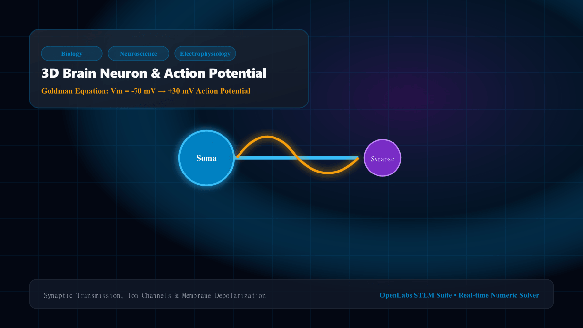 Brain Neuron & Action Potential interactive Biology simulation illustration