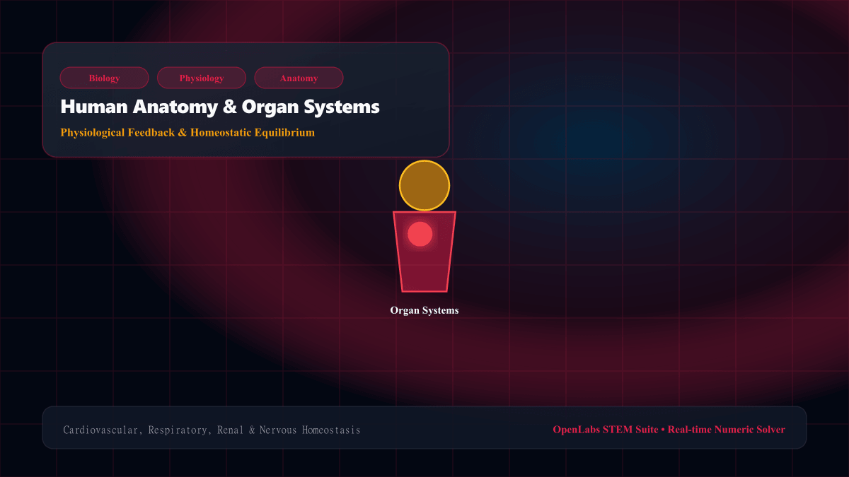 Human Anatomy & Organ Systems interactive Biology simulation illustration